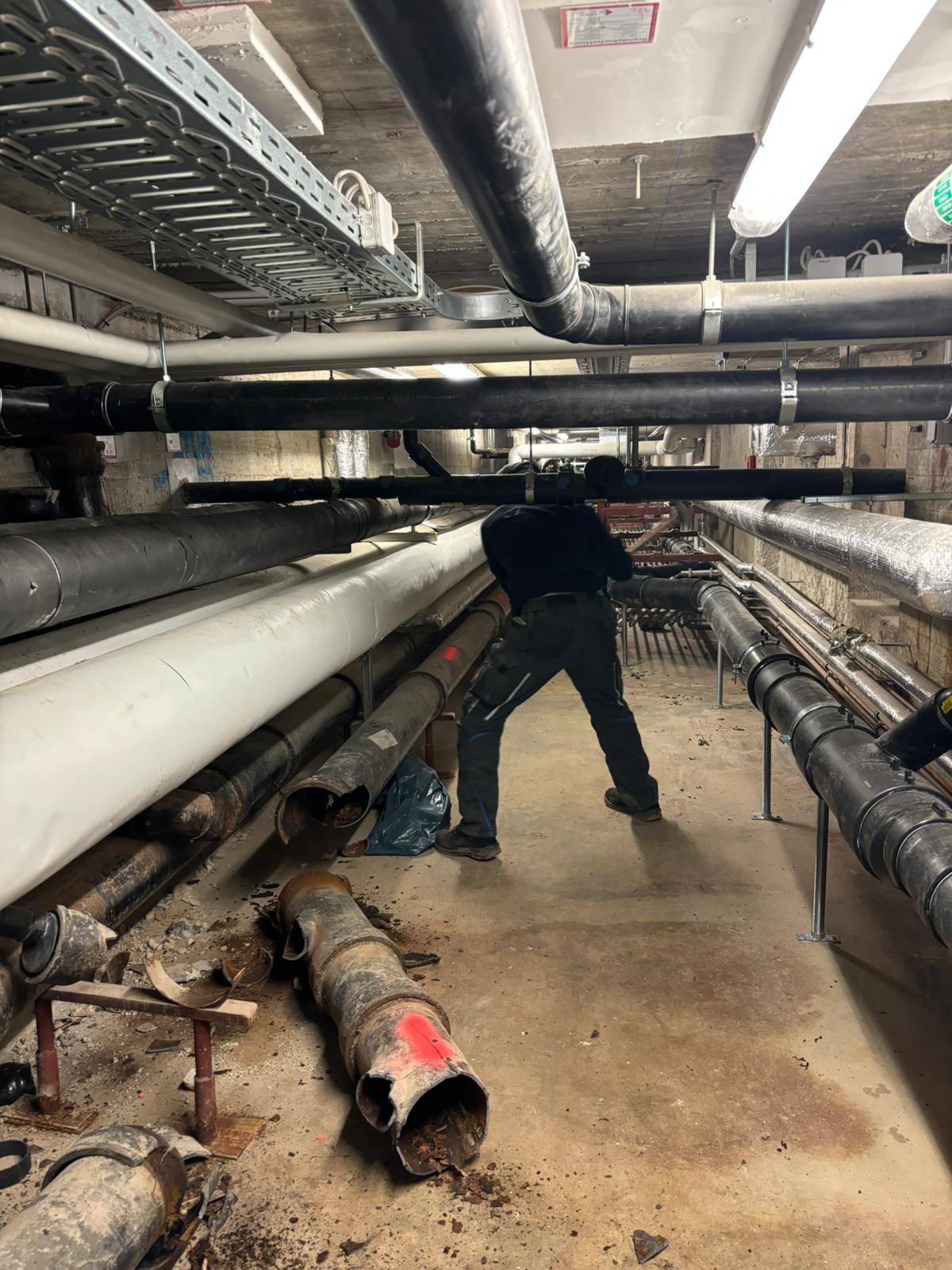 Sicherheit und Umweltschutz